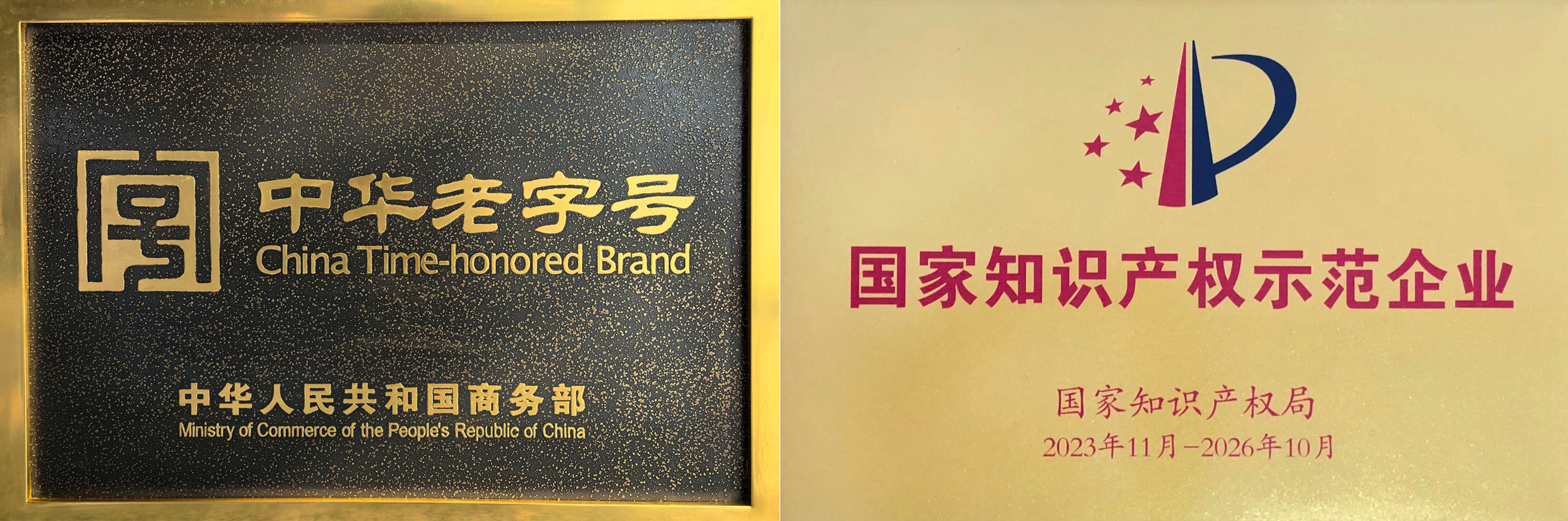 创世大发官网-钻营健全,你我一路成长